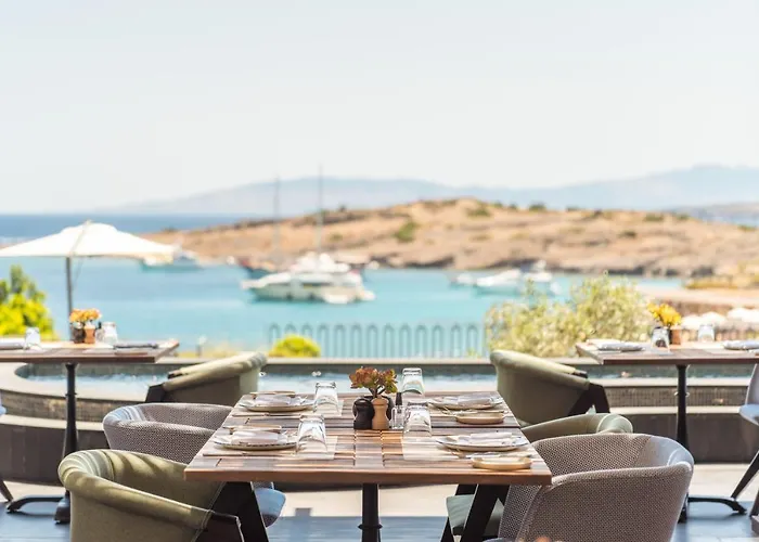 Mett & 5* Bodrum
